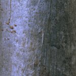 Close up of weathered light pole.